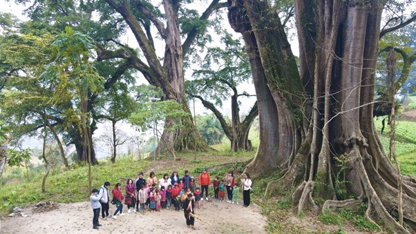 Bảo tàng