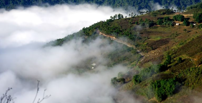 Bảo tàng