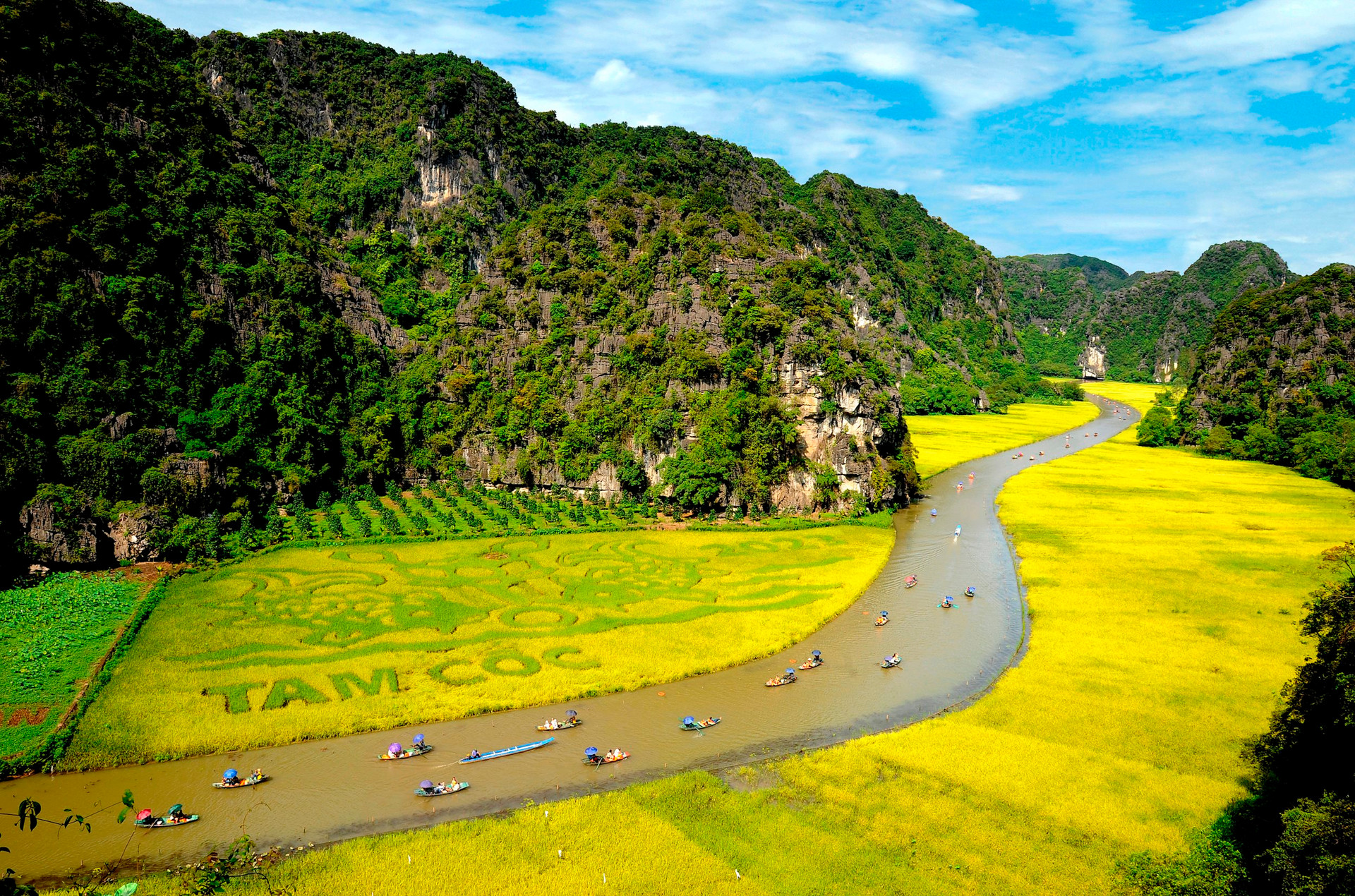 Bảo tàng