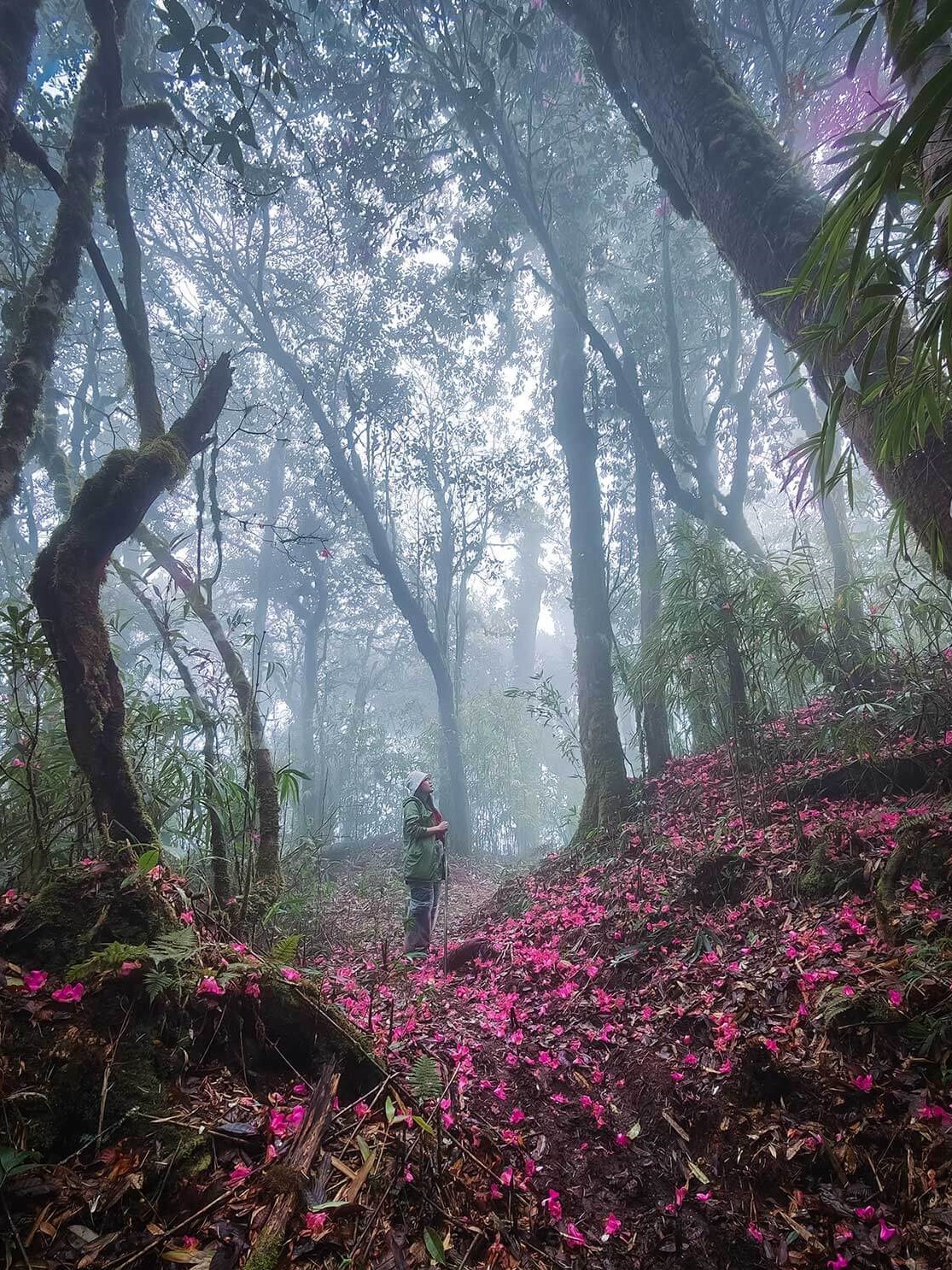 Trekking/Hiking