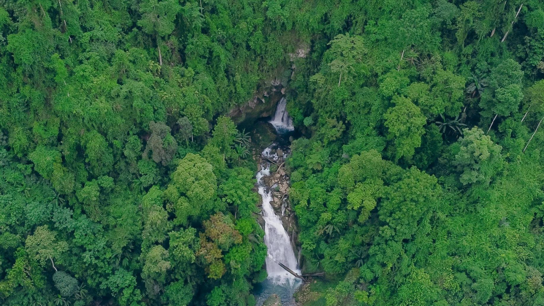 Bảo tàng