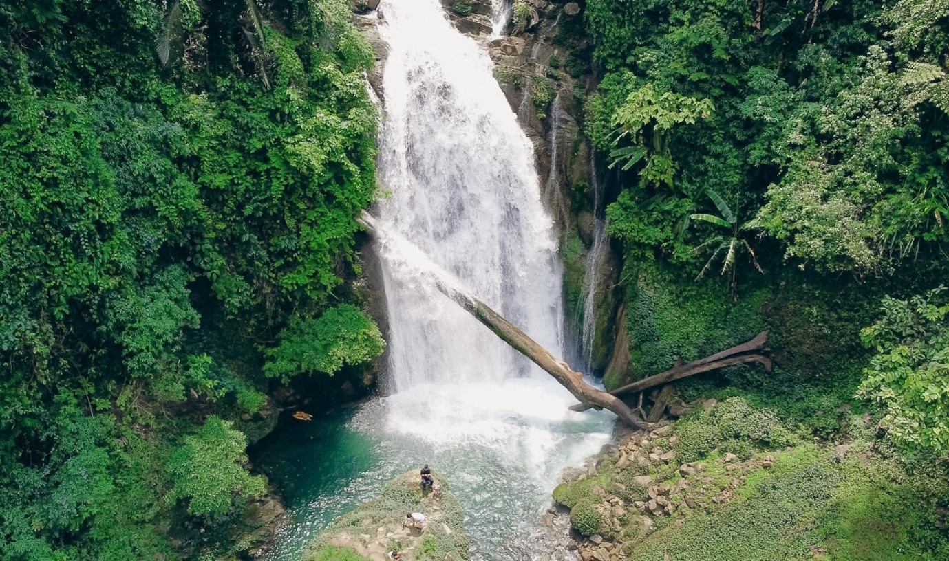 Bảo tàng